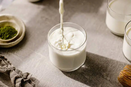 Can I Have Whey Isolate If I Am Lactose Intolerant?