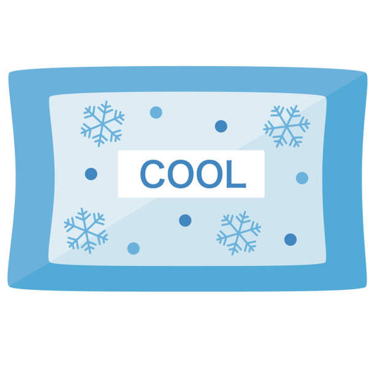 Ice Pack